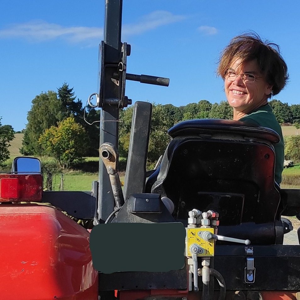 Hofardema Feldsalat pflanzen