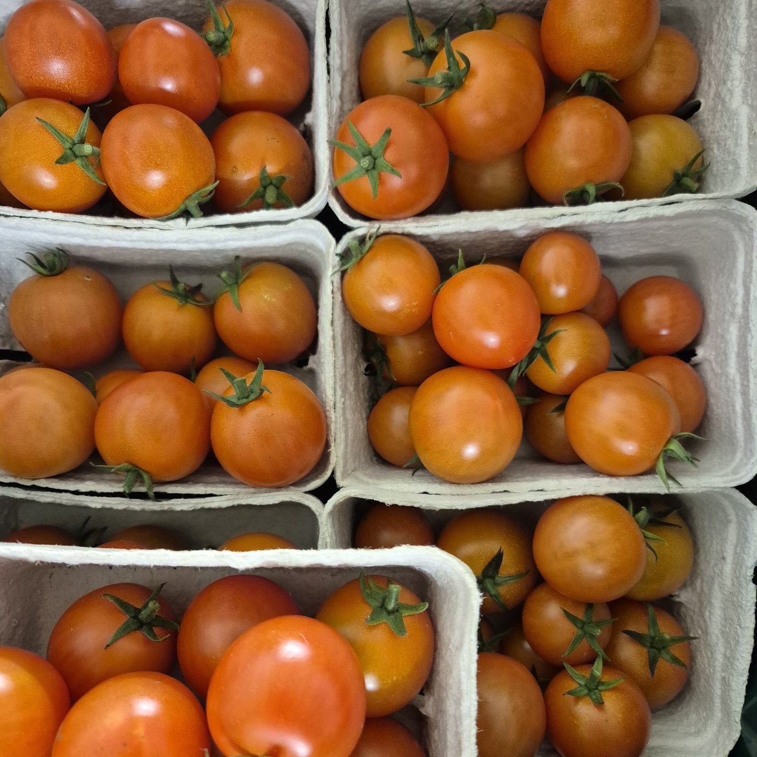 Gemüse SB-Stand - Tomaten