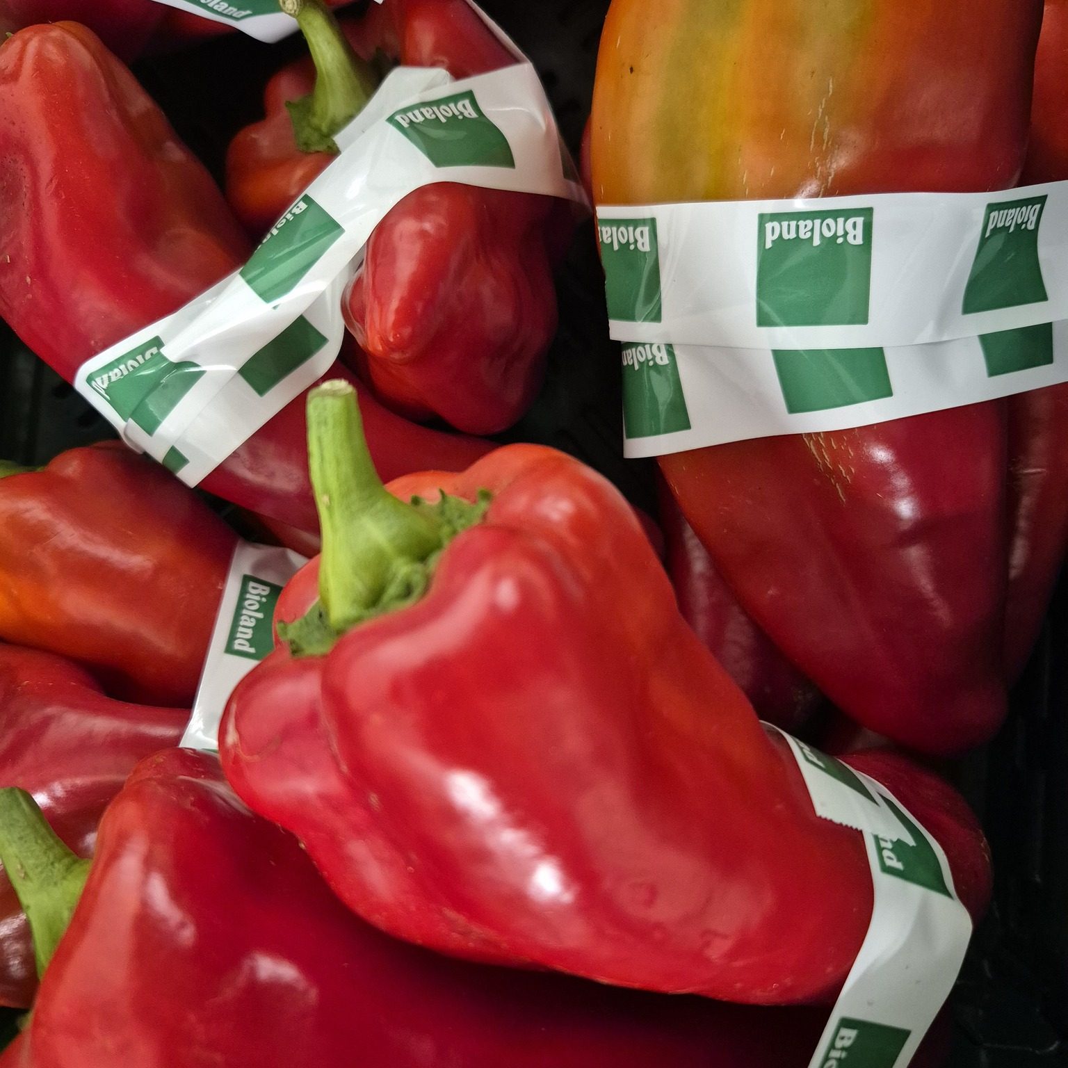 Gemüse SB-Stand - Paprika