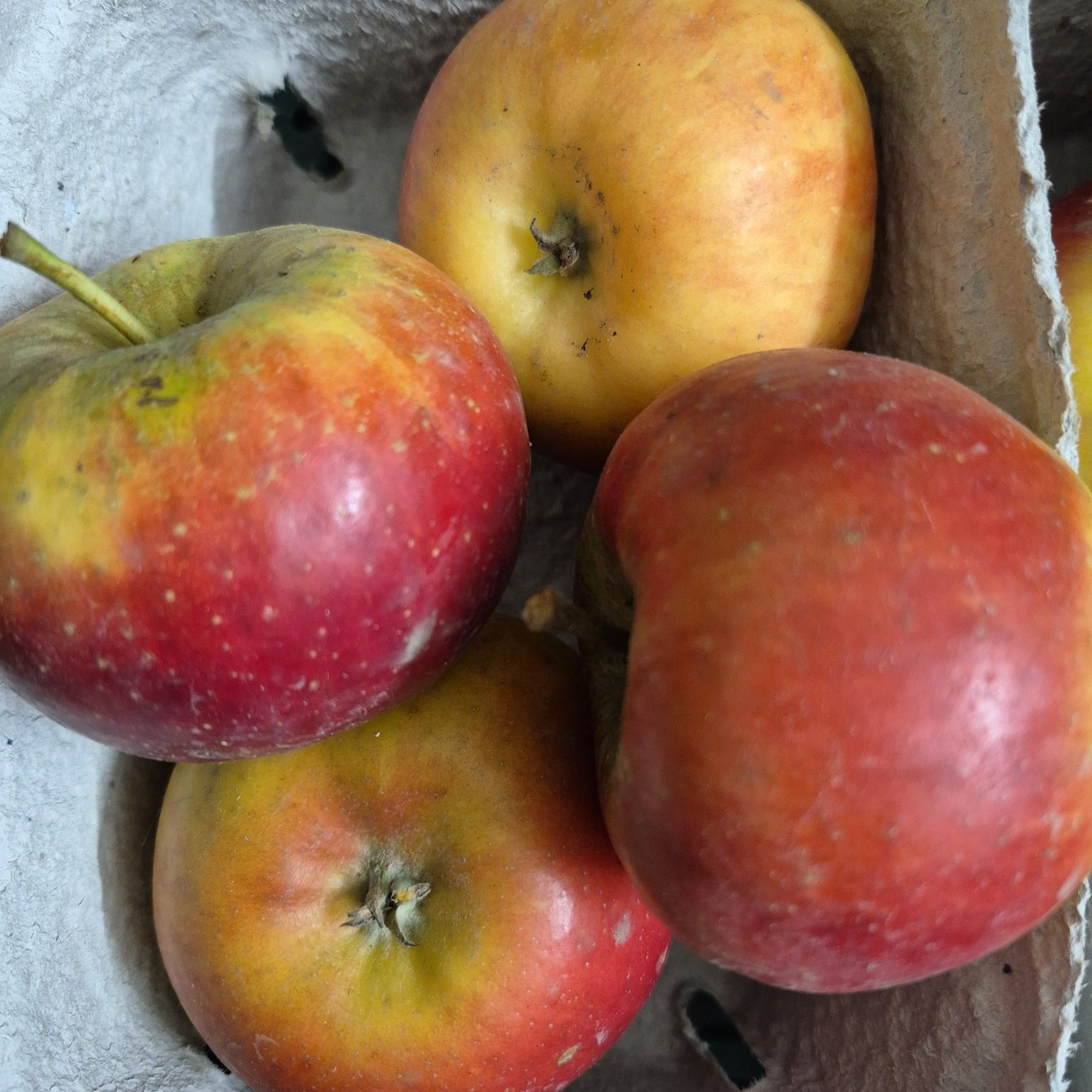 Gemüse SB-Stand - Äpfel