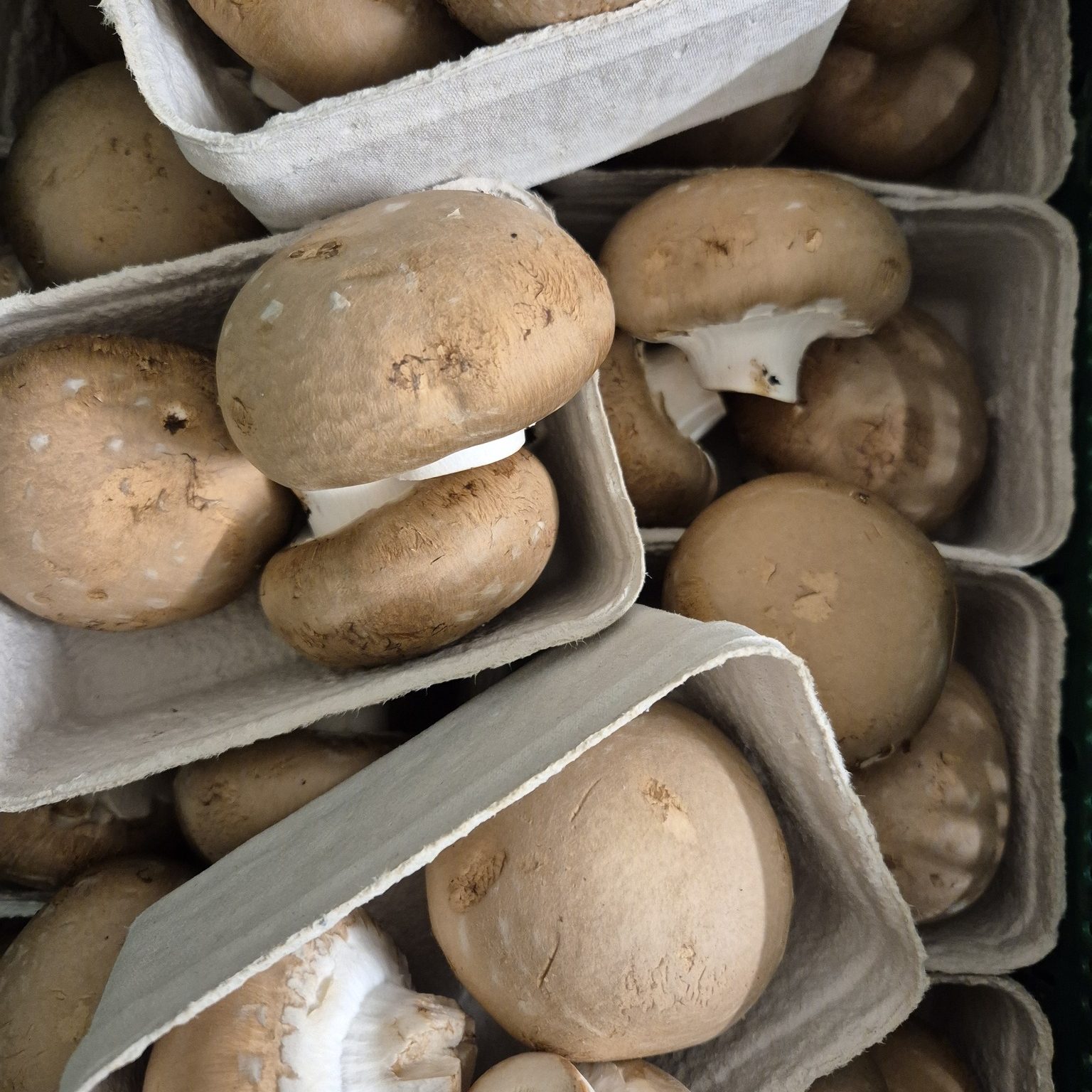 Gemüse SB-Stand Champignons